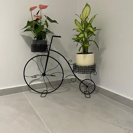 The House Of Johnkou Apartament