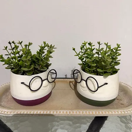 Apartament The House Of Johnkou *